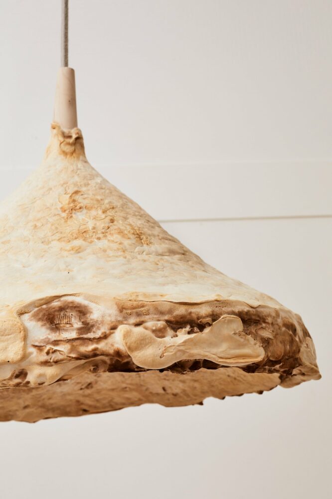 Mycelium Ceiling Pendant by Sebastian Cox