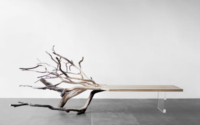 FALLENTREE by YMER&MALTA