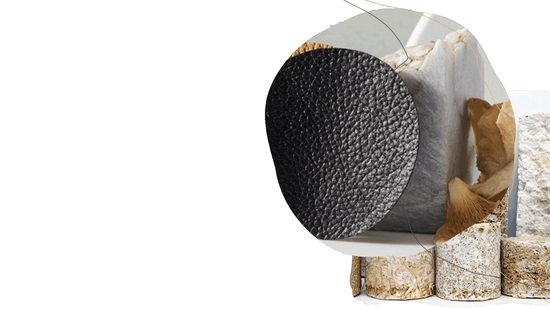 A designers’ guide to biomaterials