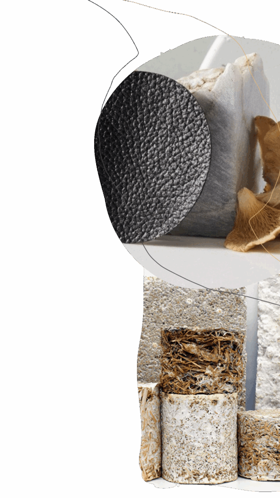 A designers’ guide to biomaterials