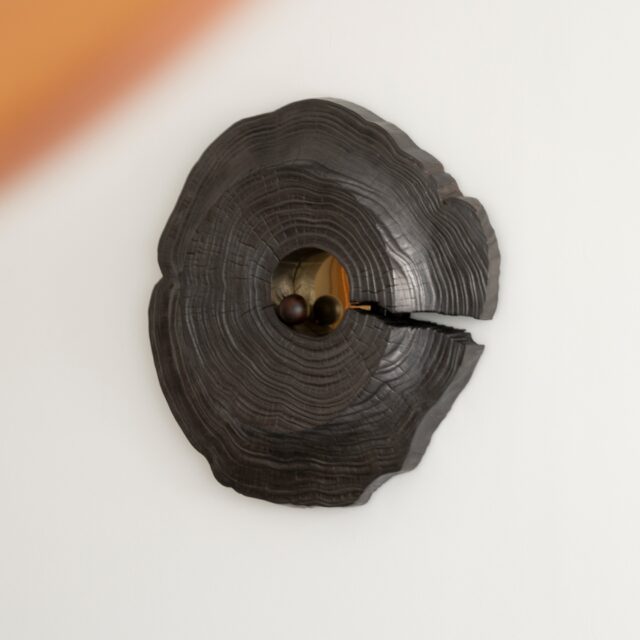 Memory of a Sun by Walk In The Park