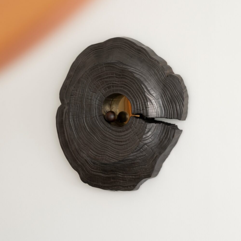 Memory of a Sun by Walk In The Park